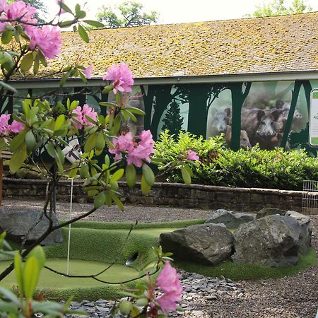 Regiohotel Germania Am Kurpark バート・ハルツブルク エクステリア 写真