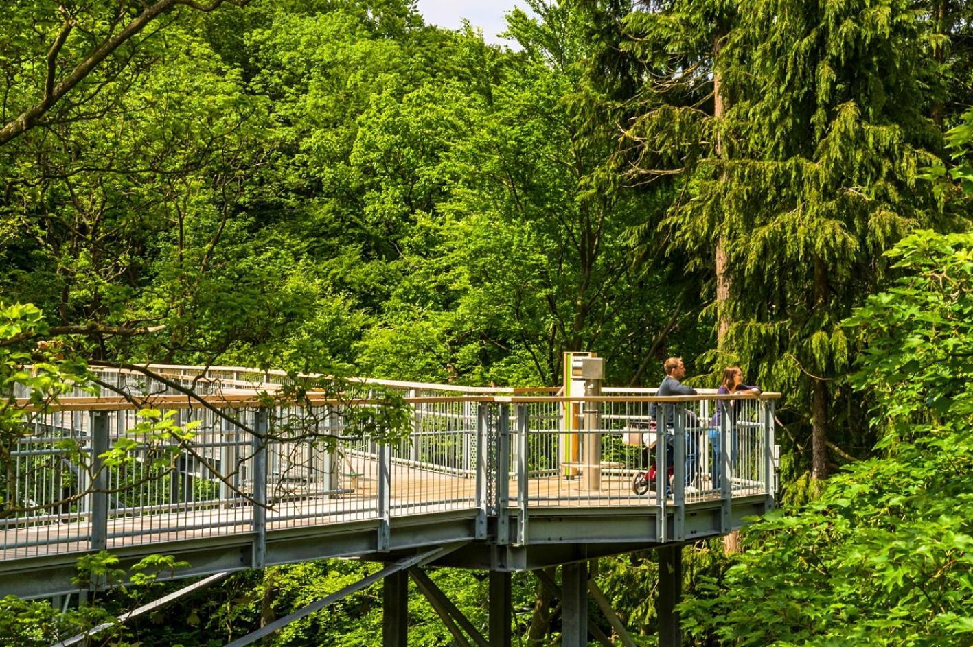 Regiohotel Germania Am Kurpark バート・ハルツブルク エクステリア 写真